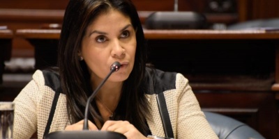 Alonso ser pre-candidata en prximas elecciones internas