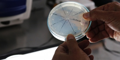 Sugieren no consumir determinados congelados de la marca Ping�in
