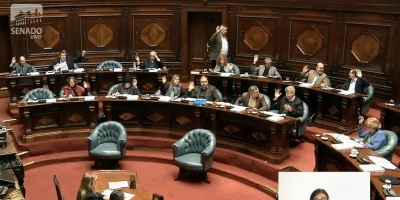 Con los votos del FA, el Senado aprob ley que avanza hacia el voto desde el exterior