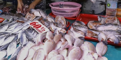 Exportaciones de pescado aumentaron un 23%
