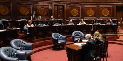 Senado aprob comisin para tratar voto desde el exterior