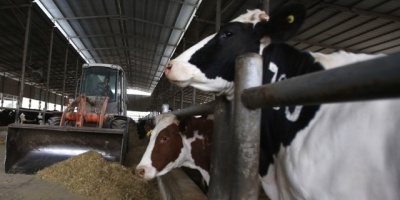 Sindicatos de la leche rechazaron aumentos por encima de la pauta