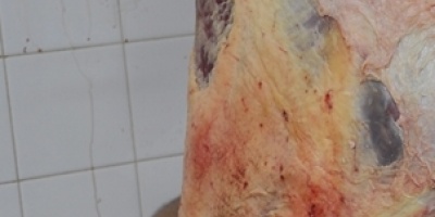 Exportaciones de carne suben un 7 % en primeros siete meses de 2018
