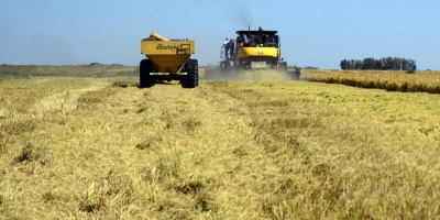 Argentina y FAO organizan foro de agricultura y alimentacin