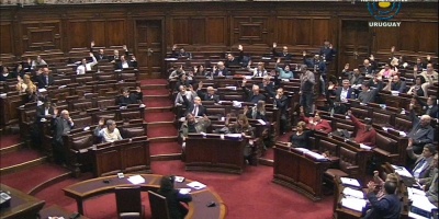 Parlamento aprueba proyecto de asistencia para Pili