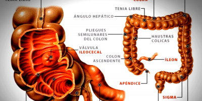 J�venes entre 10 y 25 a�os, los m�s propensos a padecer apendicitis