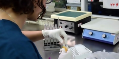 Investigaci�n constata aumento de leishmaniasis en Brasil, donde es end�mica