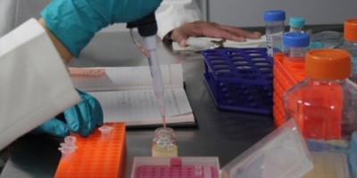 Revelan m�todo inform�tico m�s �gil y eficaz en detecci�n del c�ncer de seno