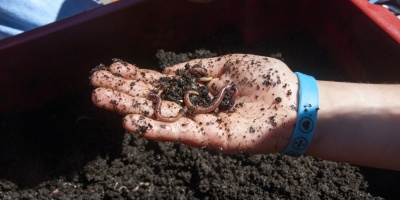 Intendencia produce 2000 toneladas de compost por a�o