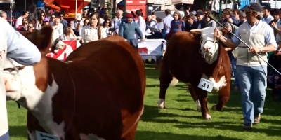 Las actividades para este mi�rcoles en la Expo Prado