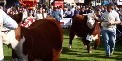 270 mil personas han visitado la Expo-prado 