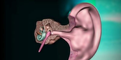Identifican un "filtro" cerebral que cancela el sonido de los propios pasos