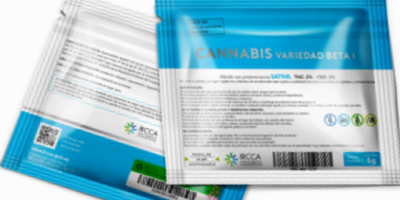 Para expertos Uruguay est� en buen camino con legalizaci�n de marihuana