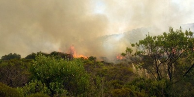 Sube a 200 hect�reas el �rea afectada por incendio en reserva natural de Per�
