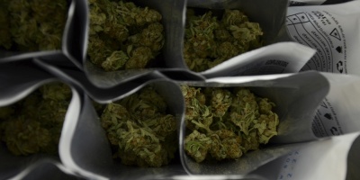 Pr�ximo gobierno de M�xico buscar� que marihuana se use con fines medicinales