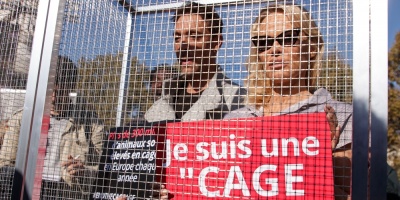 Pamela Anderson se encierra para denunciar la cr�a de animales en jaulas