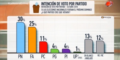 Para Opci�n Consultores, PN 31%, FA 25%