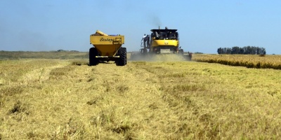 Argentina prev cosecha agrcola rcord de 140 millones de toneladas