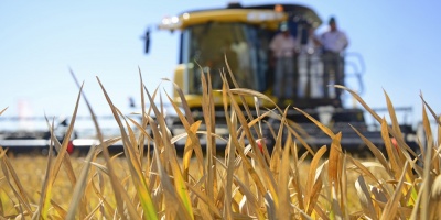 Gobierno decret aumento para principales sectores rurales