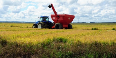 Federacin Rural entiende imprescindible buscar rentabilidad de todos los sectores