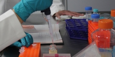 Alerta mundial por el aumento de casos de sarampin