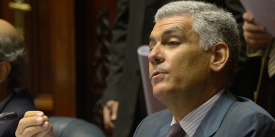 Goi convoca al Parlamento a la ministra de Industria Carolina Cosse por la crisis lctea