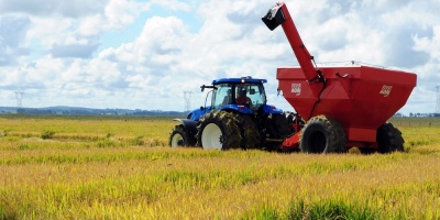 La cosecha brasilea aumentar un 1,7 % en Brasil el prximo ao