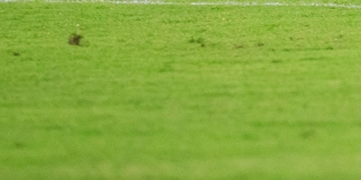 Colo Colo anuncia a Mario Salas como su nuevo entrenador