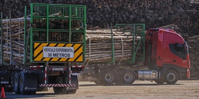 Choferes de transporte de carga paralizan sus actividades 