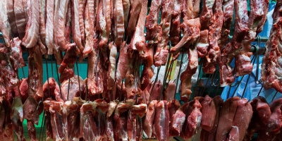 Aumentan divisas por exportaciones crnicas 
