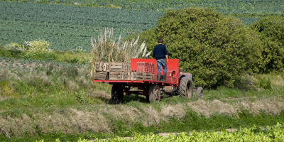 Denuncian el fallecimiento de dos trabajadores rurales al realizar tareas bajo alertas meteorolgicas