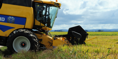 Productores panameos exigen soluciones para problemas del agro