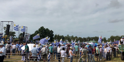 Movimiento Un Solo Uruguay acus al gobierno de negar la realidad