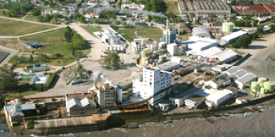 La celulosa lider las exportaciones uruguayas con 1.660 millones de dlares en 2018