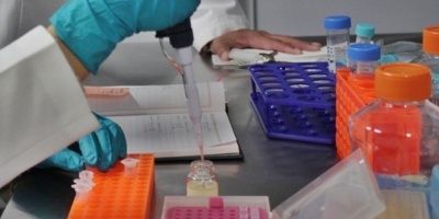 Las pldoras de insulina son una realidad cada vez ms cercana
