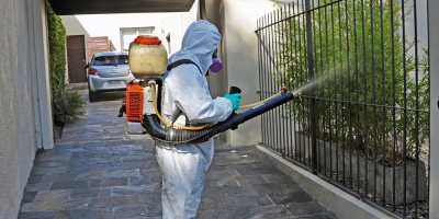 Dispositivos buscan constatar presencia de Aedes aegypti en Municipio CH