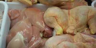 Importaci�n de pollos desde Brasil provoc� baja en el precio de venta