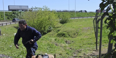 Investigan la muerte de un hombre que fue ubicado dentro de un pozo en Colonia Nicolich