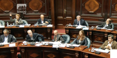 Sesin completa en el Senado: debate sobre las venias del Ejecutivo para la destitucin de generales