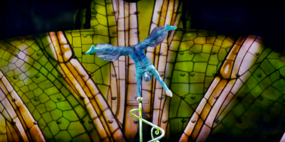 Cirque du Soleil anuncia su incursin en el cine