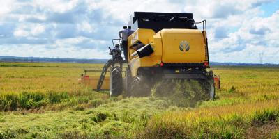 Federacin Rural advierte por prdida de competitividad que afecta el sector