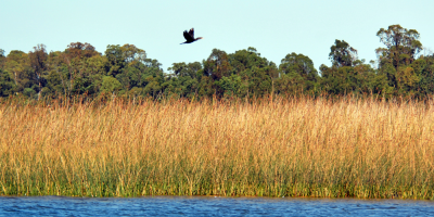 Varias actividades en el marco del Da Mundial del Medio Ambiente