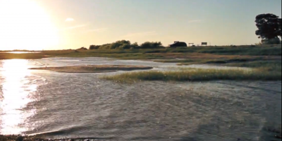 Aparecieron cianobacterias en la Laguna Mer�n, departamento de Cerro Largo 