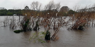 Aumenta a 7406 el nmero de personas desplazadas por las inundaciones