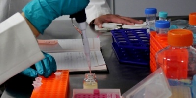 Cientficos chilenos sealan que clulas las cancergenas se haran inmortales con la vitamina C