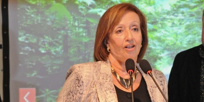 Para la ministra de Cultura las colectividades polticas deberan debatir sobre la participacin ciudadana en las internas
