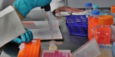 Identifican gen que influye en el desarrollo de la diabetes tipo 2