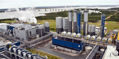 Gobierno y ambientalistas enfrentados por segunda planta de UPM