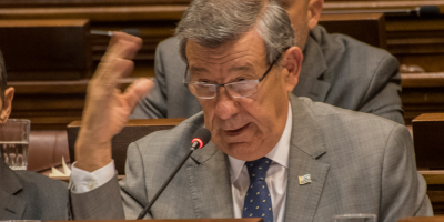 Nin Novoa comparecer� ante el Parlamento por postura de Uruguay en la OEA