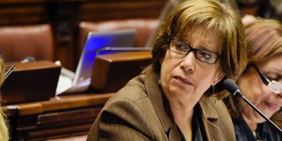 Arismendi comparecer en el Parlamento tras fallecimiento de dos personas en situacin de calle